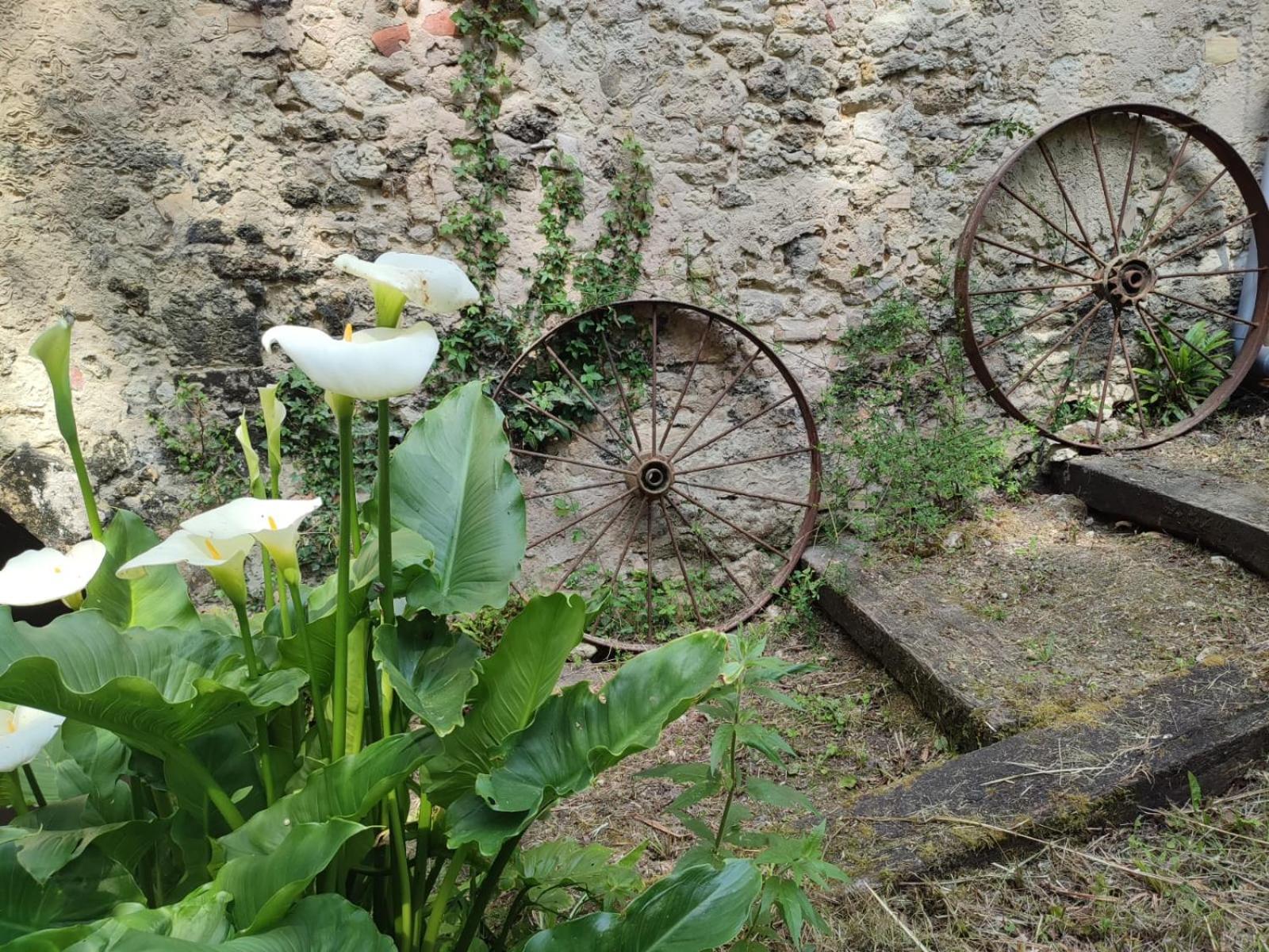 Chambre D'Hotes Le Moulin De Moulis Exterior foto